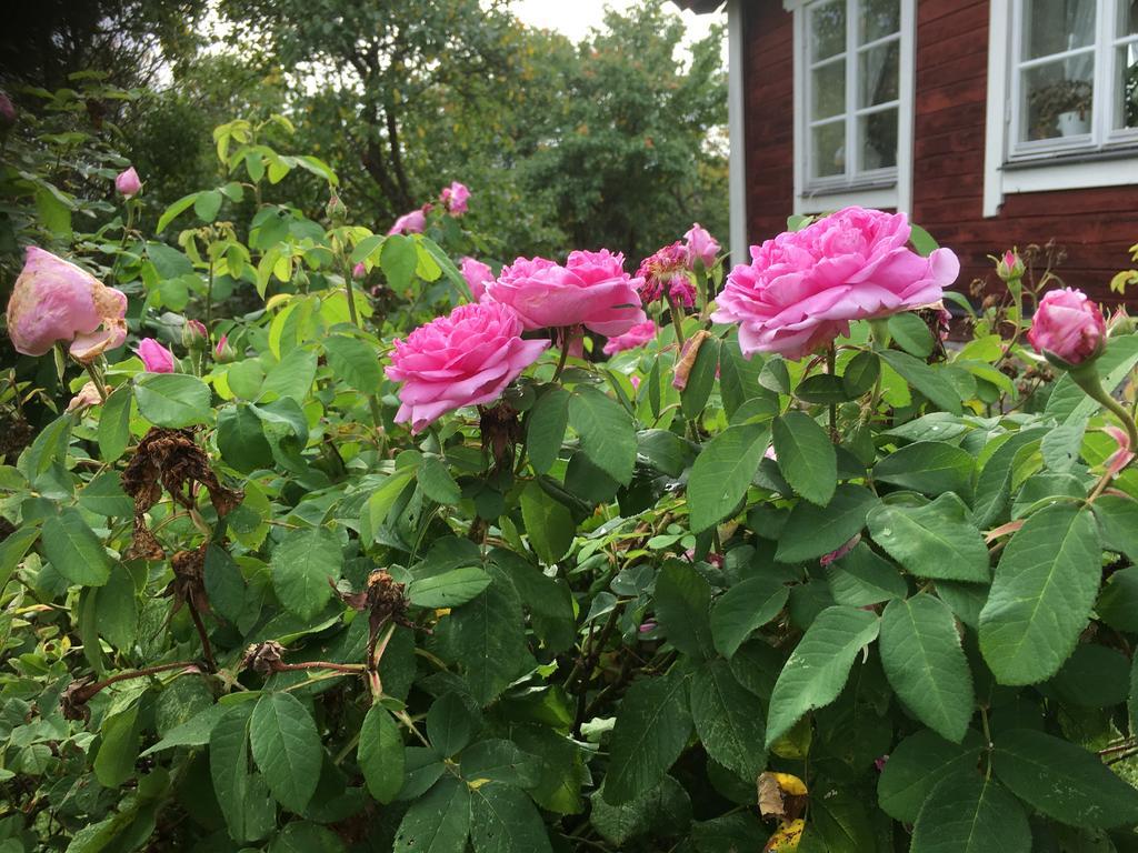 Thorstorps Gard B&B Söderköping Zewnętrze zdjęcie