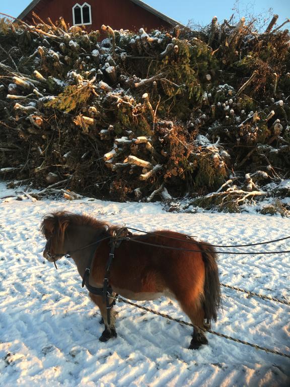 Thorstorps Gard B&B Söderköping Zewnętrze zdjęcie